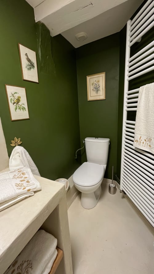 Salle de bain moderne aux murs vert forêt, toilettes blanches, sèche-serviettes chauffant et œuvres botaniques au Domaine de Blanvatel