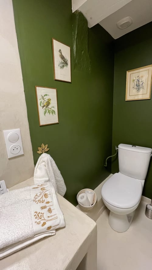 Elegant bathroom at Domaine de Blanvatel with forest green walls, botanical artwork, white fixtures, and gold accents