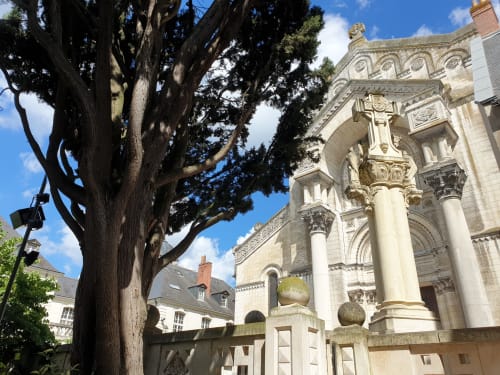 basilique St Martin