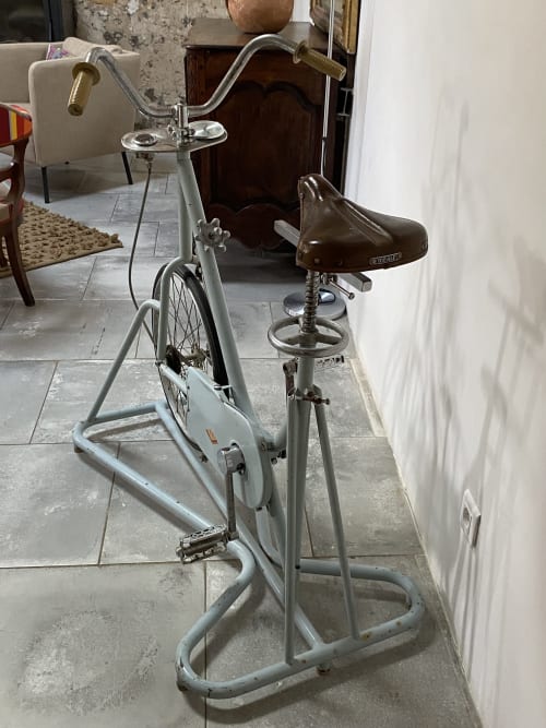 Vélo d'exercice vintage avec selle en cuir marron au jardin de l'Elephant Apartment, Le Mas du Fort, Gargas