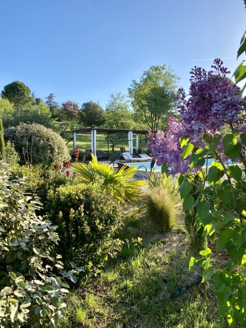 Des fleurs lilas violettes encadrent l'allée du jardin menant à la piscine du Mas du Fort, un gîte français avec