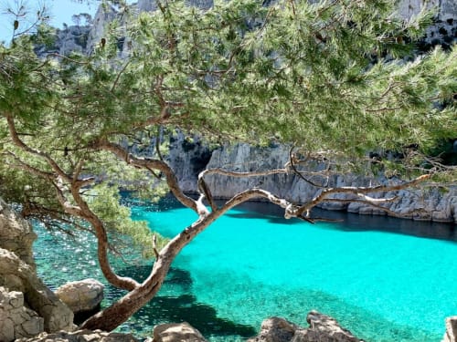 Crique turquoise avec branches d'arbres nouées, falaises rocheuses et eaux cristallines de la Méditerranée près de Venelles
