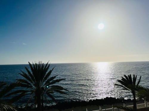 Bright sunny ocean view from Family Suite 401 in Arguineguín with palm trees and Mediterranean sea horizon