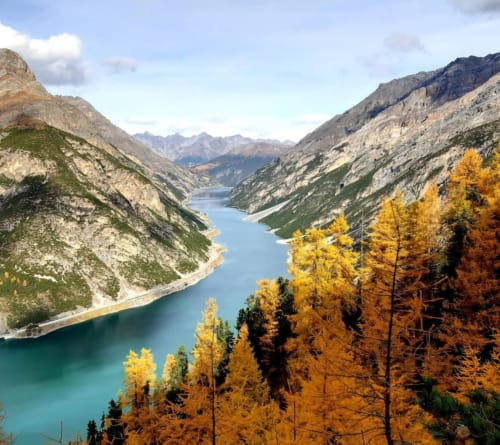 Turquoise alpine lake surrounded by autumn larch trees and rocky mountains near Livigno, Italy