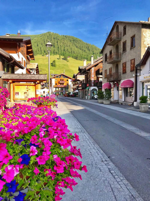 Vibrant pink flowers line a charming alpine street in Livigno with traditional buildings and green mountains backdrop