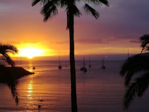 Spektakulärer Sonnenuntergang über der Bucht von Arguineguín mit silhouettierten Palmen und vertäuten Segelbooten in der Dämmerung