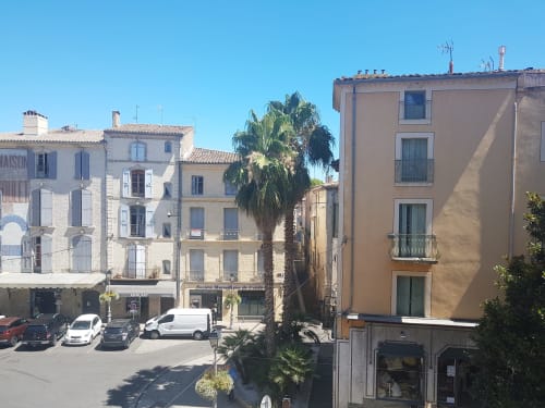 Charmants bâtiments historiques et palmier sur la place de Pézenas, lieu de séjour du gîte Mes à Moi Pézenas