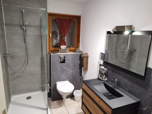 Baño moderno en L'étape Du Fanfoué en Chamrousse con ducha, inodoro y lavabo