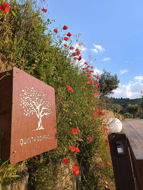 Placa de entrada da Quinta do Fraguil com logo de árvore cercada por papoilas vermelhas no Vale do Douro, Portugal