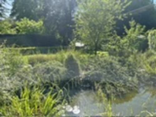 Lush garden with green shrubs and hedges at Les Gites De Flaubert in Le Heron, France