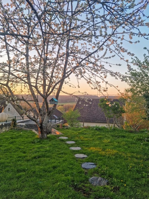 Chemin rural à travers une pelouse verte menant à la maison d'hôtes La Dragonne à Bellême, France au coucher du soleil
