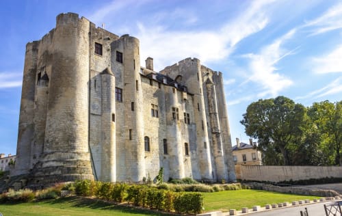 Château historique en pierre avec pelouse verdoyante, près de Niort en Deux-Sèvres, Nouvelle-Aquitaine
