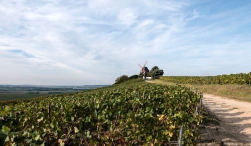 Ancien moulin dominant les vignobles près de Lady Jule Chambres d'hôtes à Sainte-Luce-sur-Loire, France
