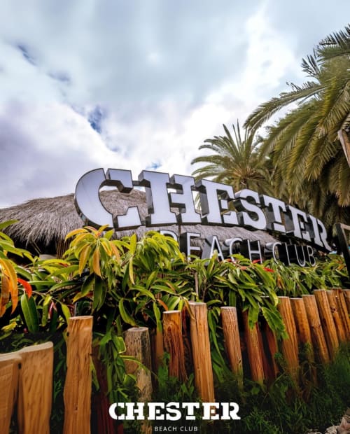 Chester Beach Club sign with palm trees and thatched roof in Arguineguín, Gran Canaria