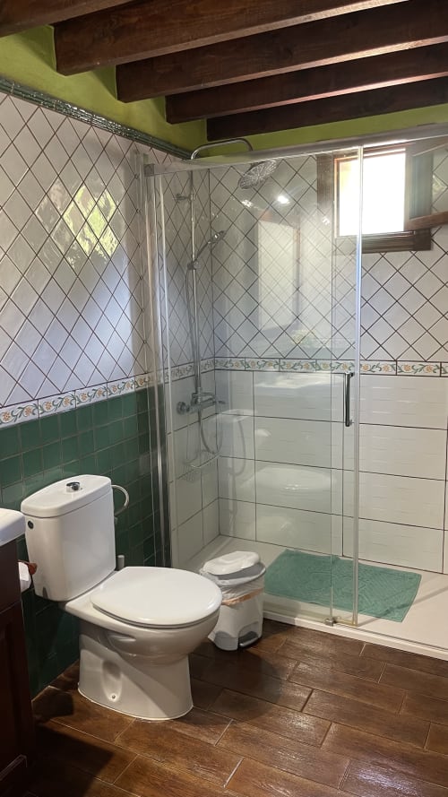 Modern bathroom in El Teide cottage at Casonas de Marengo with shower enclosure, toilet, and green tile accents