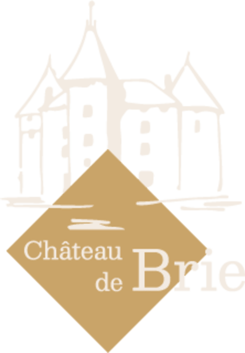 Logo du gîte Château de Brie avec illustration de château à Champagnac la Rivière, France