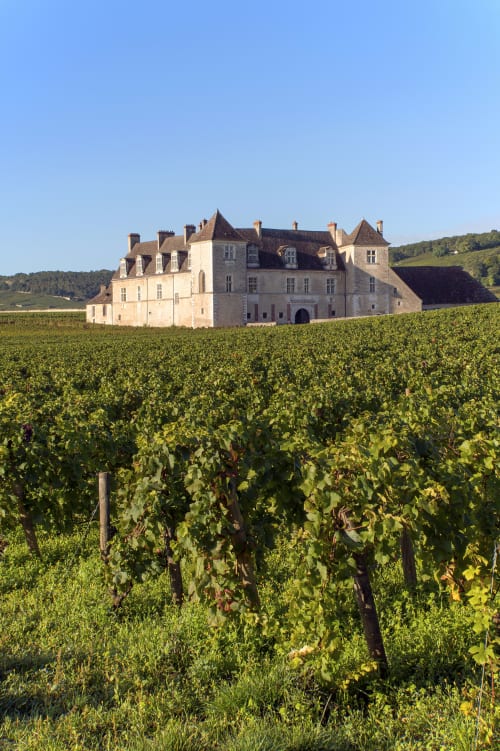 La Route des Grands Crus de Bourgogne, berceau de l'œnotourisme.