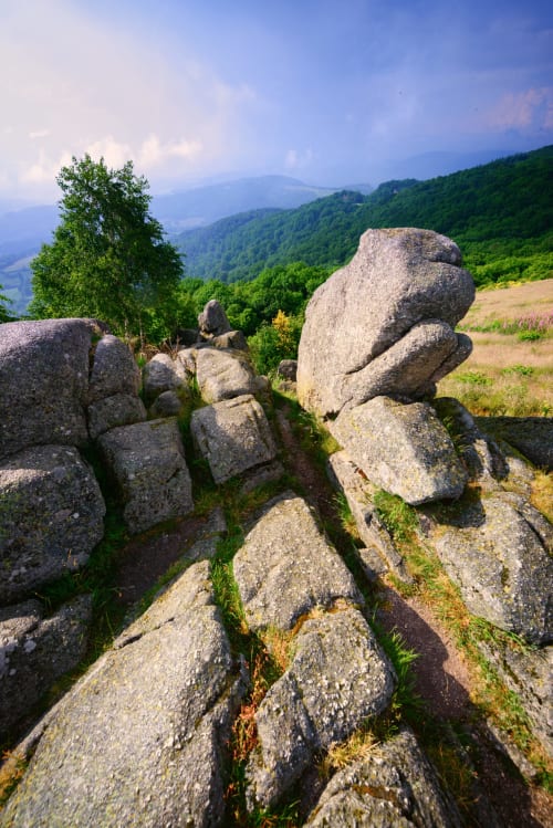 Le Parc National du Morvan, joyau naturel de Bourgogne, offre randonnées et découvertes en pleine nature.