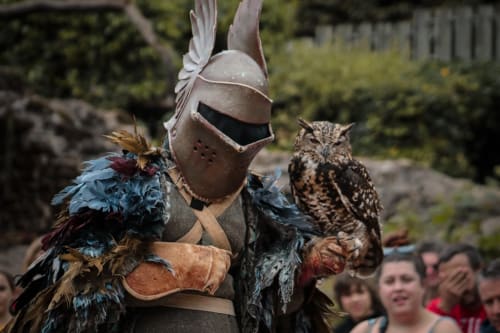 Le puy du Fou, Chevalier médiéval en armure avec panache à plumes tenant une chouette tachetée lors d'un événement en plein air en Vendée