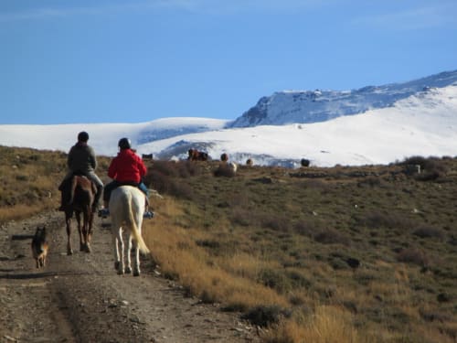 Rutas a Caballo en Güéjar Sierra
En Güéjar Sierra, puedes disfrutar de rutas a caballo adaptadas a todos los niveles, desde principiantes hasta jinetes experimentados. Empresas locales como Las Encinillas ofrecen paseos guiados por los paisajes de Sierra Nevada, con opciones que incluyen almuerzo en el campo y vistas espectaculares de la montaña .