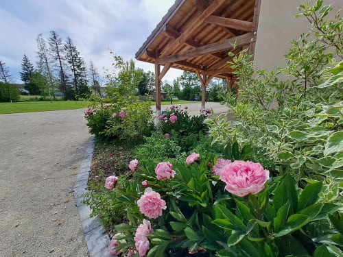 pivoines