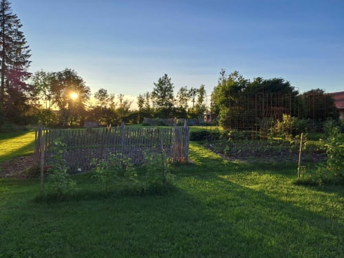 potager