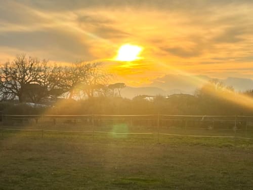 Alba dorata sulla campagna di Roccasecca con alberi spogli e campi recintati a DAF HOUSE