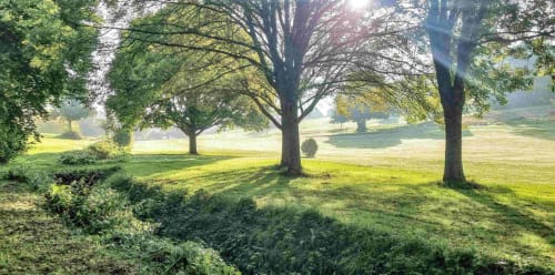 Paisibles terrains du gîte La Dragonne à Bellême avec de grands arbres et verdoyants espaces verts