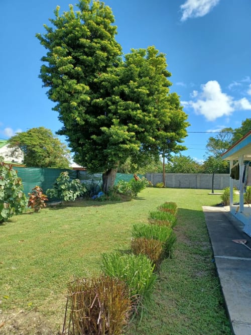 hebergement guadeloupe pmr