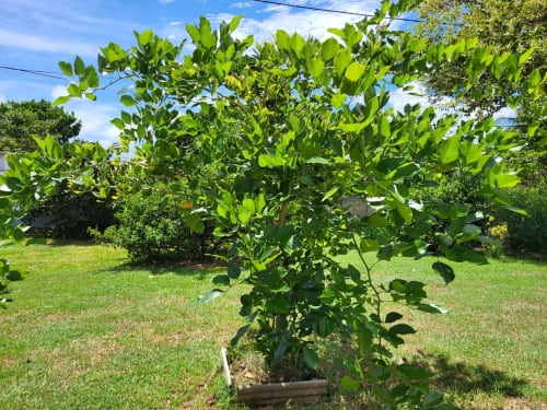 hebergement guadeloupe pmr