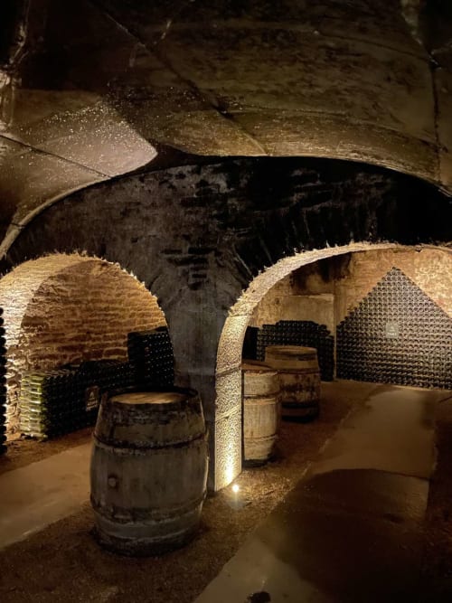 Historic wine cellar with wooden barrels at Gites bo, Saint-Romain, France