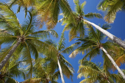 hebergement guadeloupe pmr