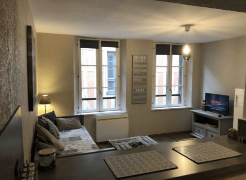Studio cosy au Paillot de Montabert à Troyes avec canapé, TV, kitchenette et grandes fenêtres