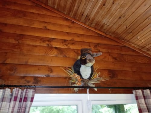 Taxidermied grouse mounted on wooden beam at Grouse Lodge hotel in Dunoon
