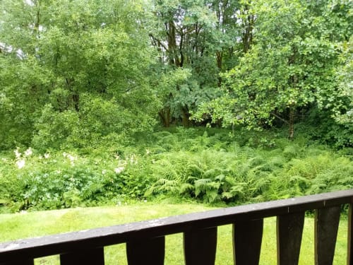 Grouse Lodge's lush garden view with ferns and mature trees from the deck, Dunoon