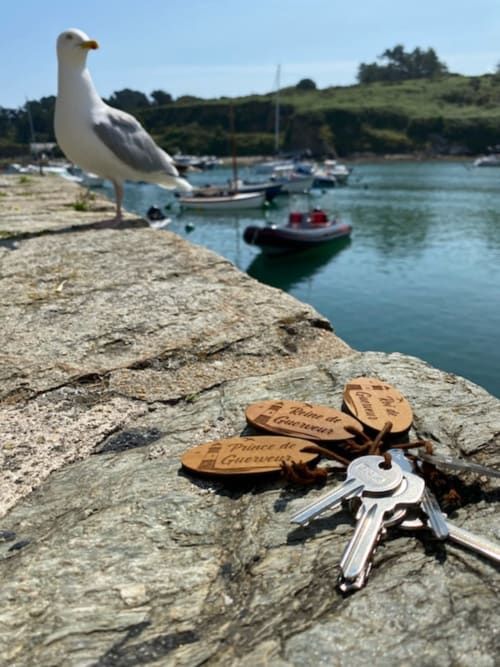Mouette sur la côte rocheuse dominant le port avec bateaux à Locmaria, Belle Île en Mer, avec porte-clés en bois et clés sur pierre