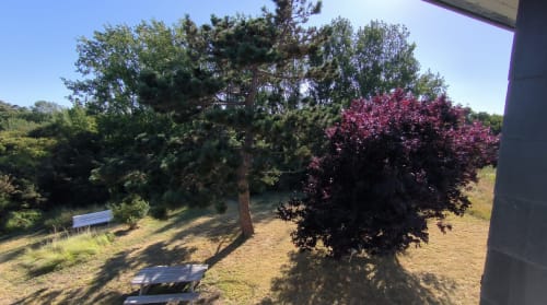 Vue du jardin de la Maison Martha à Locmaria, Belle Île-en-Mer, avec arbres en fleurs et pelouse entretenue