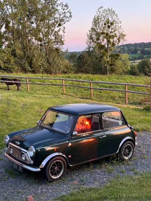 Classic Mini parked at Domaine de Blanvatel farm in Normandy with pastoral landscape and grazing cow