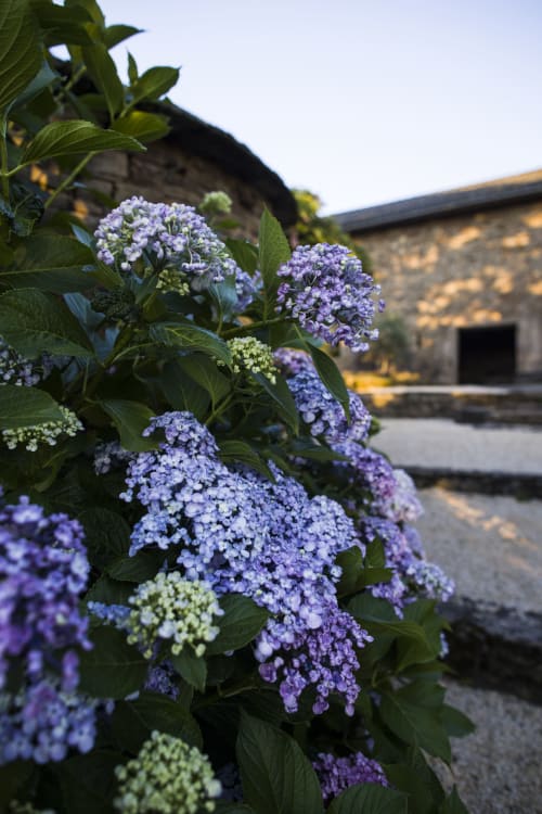 Privatise le domaine pour votre événement,, location de maison, piscine privative, spa, sud aveyron 