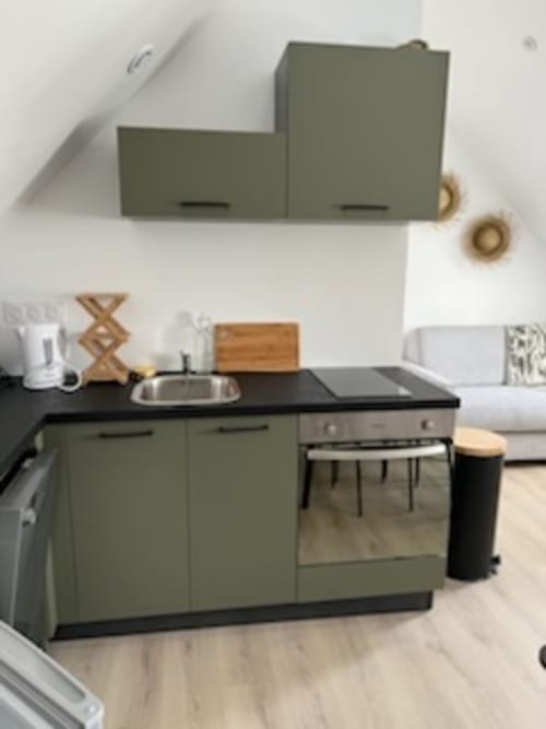 Kitchenette vert sauge moderne avec plan de travail noir et évier en acier inoxydable, location à Belle Île en Mer