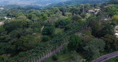 Nearby Aburi botantical gardens