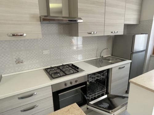 Cucina moderna negli Appartamenti Rigiariloo con piano cottura a gas, lavastoviglie, lavello e elettrodomestici in acciaio inox