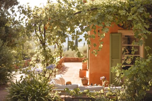Pergola, outdoor seating areas, vineyard, shade, agapanthus, green shutters, large terrace, natural environment, house not overlooked, house for rent in Provence, villa for rent in Provence, Villa for rent in the Var, family house for rent in the var, family house for rent in provence