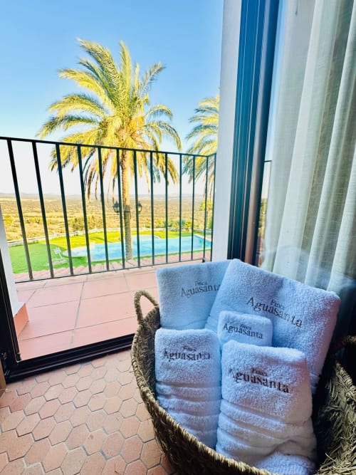 Balcón de la casita Aguasanta en Mérida con toallas personalizadas, palmeras, piscina y vistas a las montañas del desierto