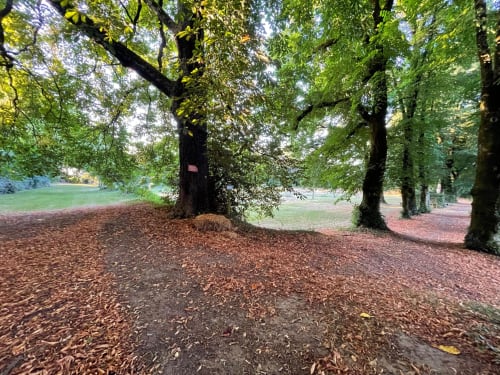 Allée des tilleuls sur l'Affiage du Prieuré St Pierre, passage du sentier pédestre