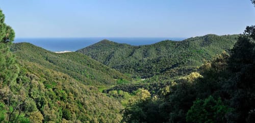 Lussureggianti colline boschive affacciate sul Mar Mediterraneo vicino all'ostello rurale Can Ricós a Vallgorguina, Barcellona