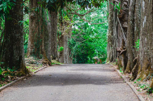 Aburi gardens - 15 mins drive away