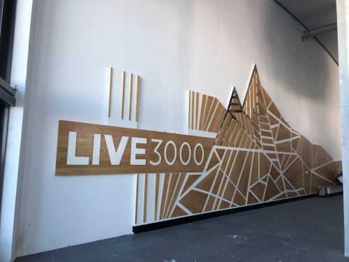 live 3000 La Plagne