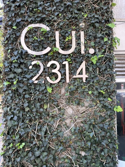 Entrada del departamento Pares Homes CDMX 2314 con fachada cubierta de hiedra en la Ciudad de México