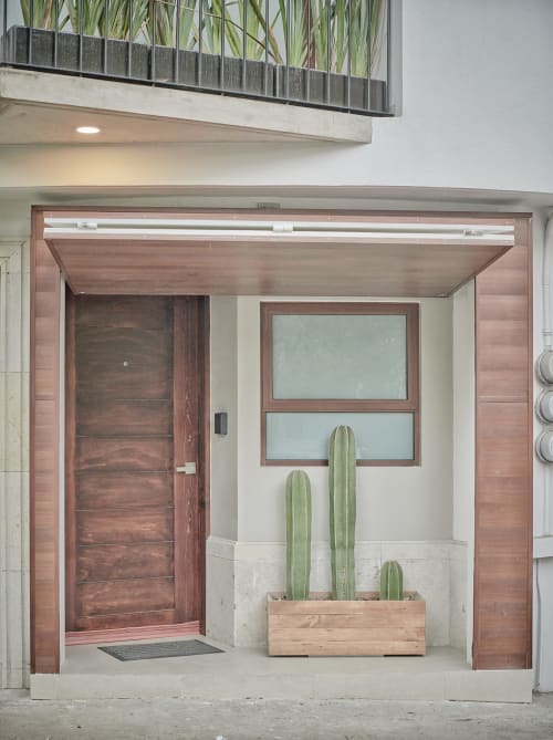 Entrada moderna del hotel Pares Homes CDMX con puerta de madera, ventana esmerilada y cactus en macetas